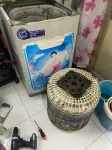 Máy giặt